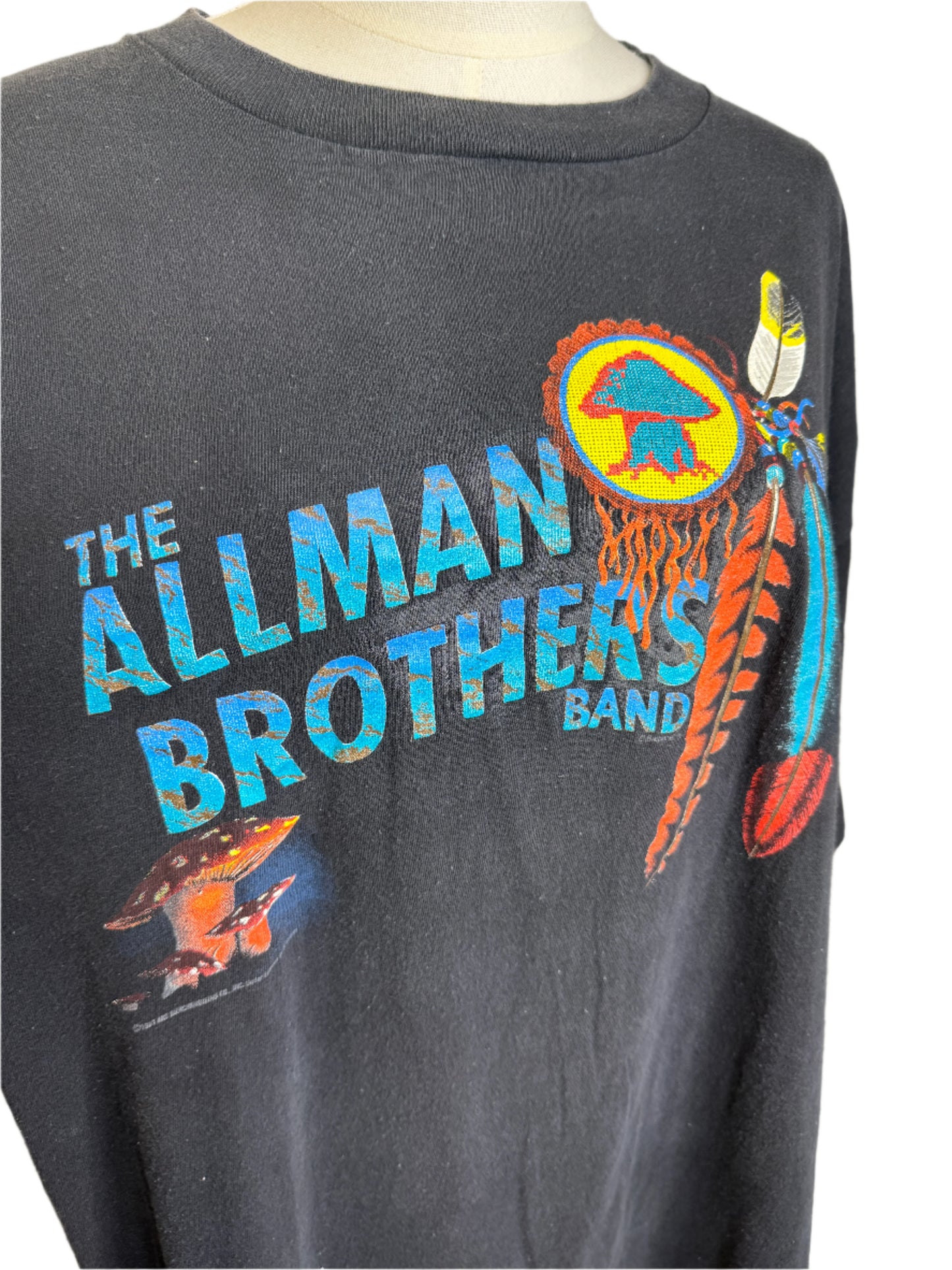 Allman Brothers Band Macon GA Where It All Began 1990s