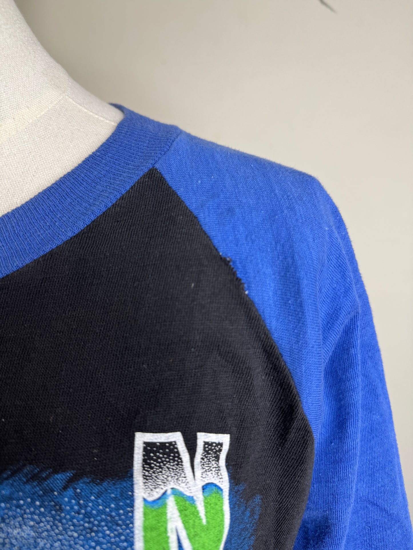 Willie Nelson Raglan T-Shirt